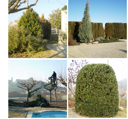Podas de árboles